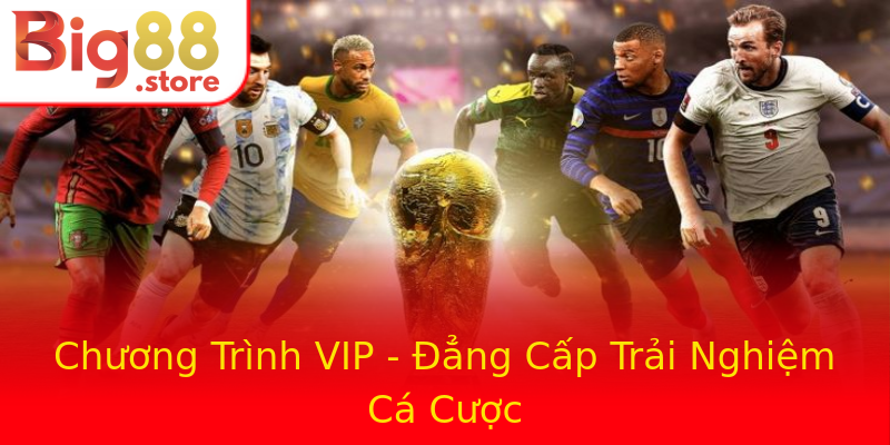 Chương Trình VIP - Đẳng Cấp Trải Nghiệm Cá Cược Chương Trình VIP - Đẳng Cấp Trải Nghiệm Cá Cược