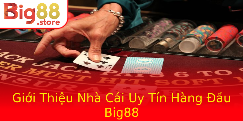 Giới Thiệu Nhà Cái Uy Tín Hàng Đầu Big88 Giới Thiệu Nhà Cái Uy Tín Hàng Đầu Big88