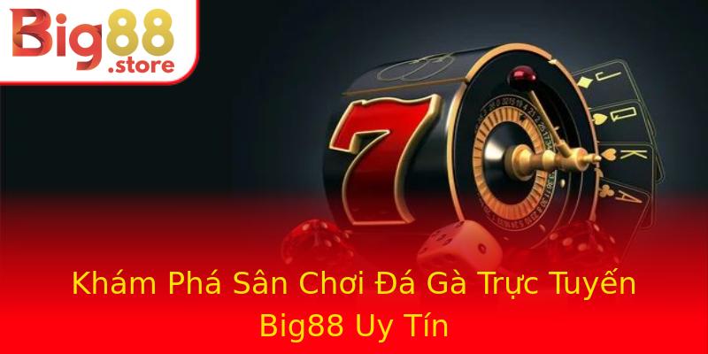 Khám Phá Sân Chơi Đá Gà Trực Tuyến Big88 Uy Tín Khám Phá Sân Chơi Đá Gà Trực Tuyến Big88 Uy Tín
