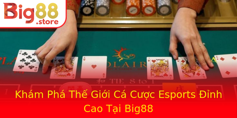 Khám Phá Thế Giới Cá Cược Esports Đỉnh Cao Tại Big88 Khám Phá Thế Giới Cá Cược Esports Đỉnh Cao Tại Big88