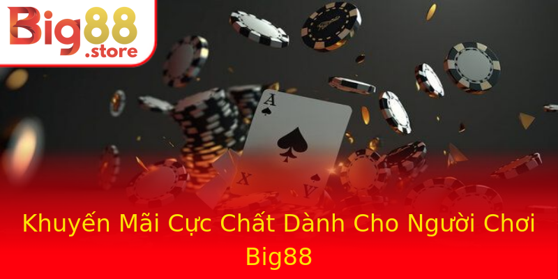Khuyến Mãi Cực Chất Dành Cho Người Chơi Big88 Khuyến Mãi Cực Chất Dành Cho Người Chơi Big88