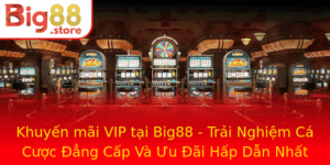 Khuyen Mai Vip Tai Big88 Trai Nghiem Ca Cuoc Ang Cap Va Uu Ai Hap Dan Nhat Nam 2025