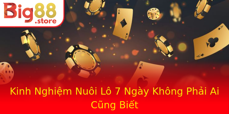 Kinh Nghiệm Nuôi Lô 7 Ngày Không Phải Ai Cũng Biết Kinh Nghiệm Nuôi Lô 7 Ngày Không Phải Ai Cũng Biết