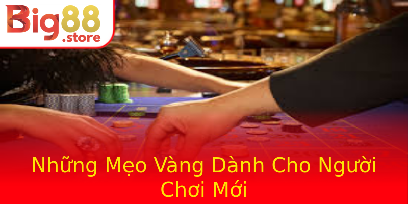 Những Mẹo Vàng Dành Cho Người Chơi Mới Những Mẹo Vàng Dành Cho Người Chơi Mới