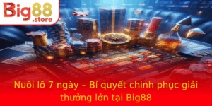 Nuoi Lo 7 Ngay Bi Quyet Chinh Phuc Giai Thuong Lon Tai Big88