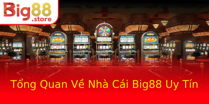 Tổng Quan Về Nhà Cái Big88 Uy Tín Tổng Quan Về Nhà Cái Big88 Uy Tín