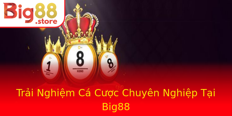 Trải Nghiệm Cá Cược Chuyên Nghiệp Tại Big88 Trải Nghiệm Cá Cược Chuyên Nghiệp Tại Big88